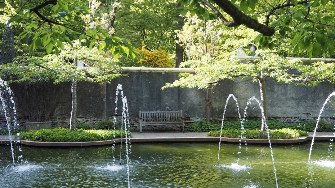 A tranquil garden with a fountain and lush greenery.