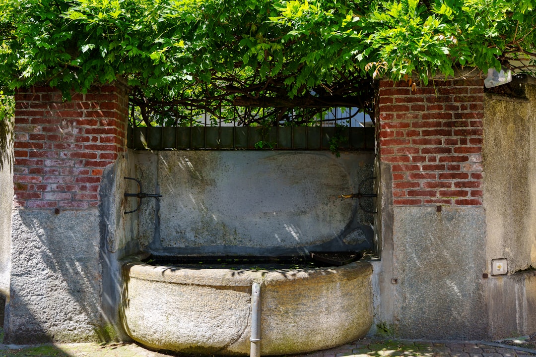 Stone well with brick and stone walls under greenery