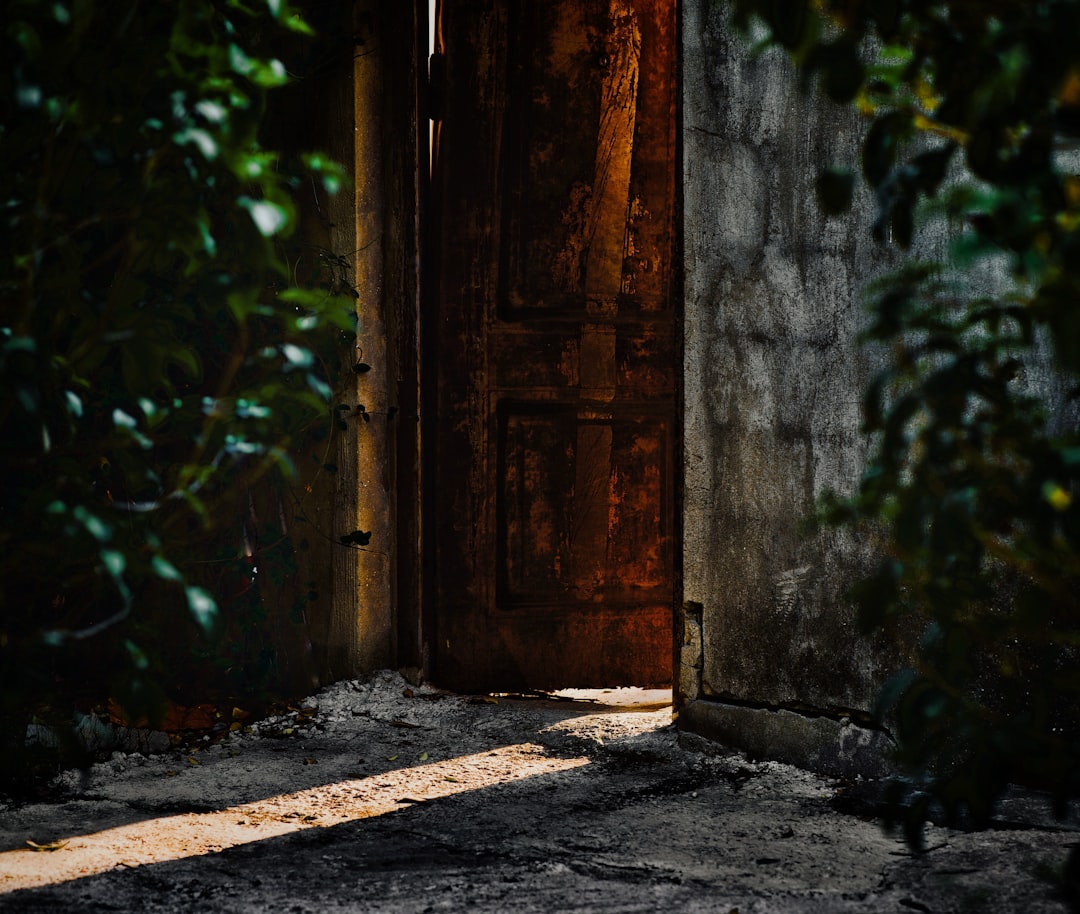 Open doorway with sunlight streaming through