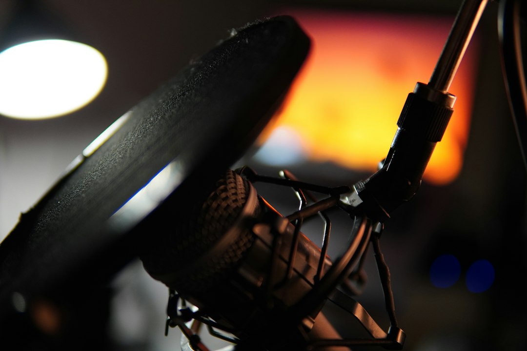 a person holding a microphone