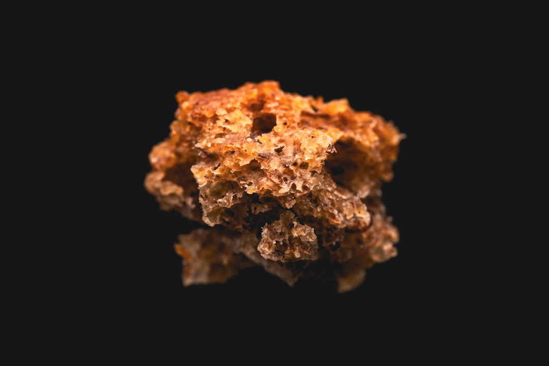A close-up of a single piece of breadcrumb