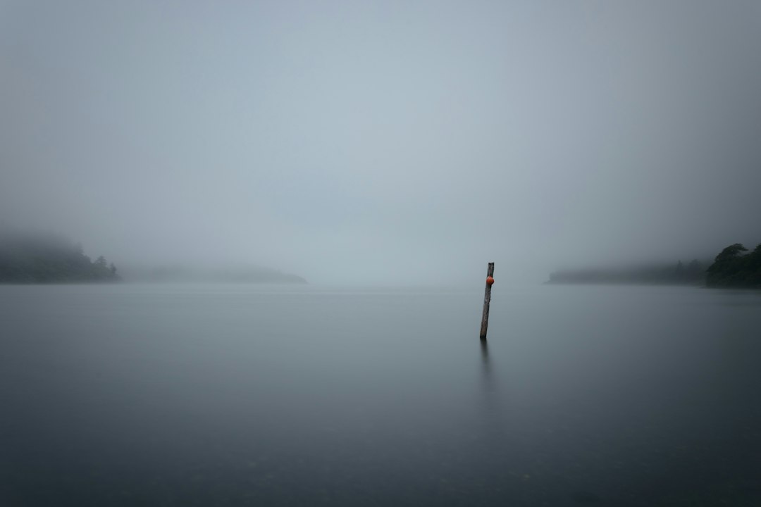 Misty lake with a single post in-water pole