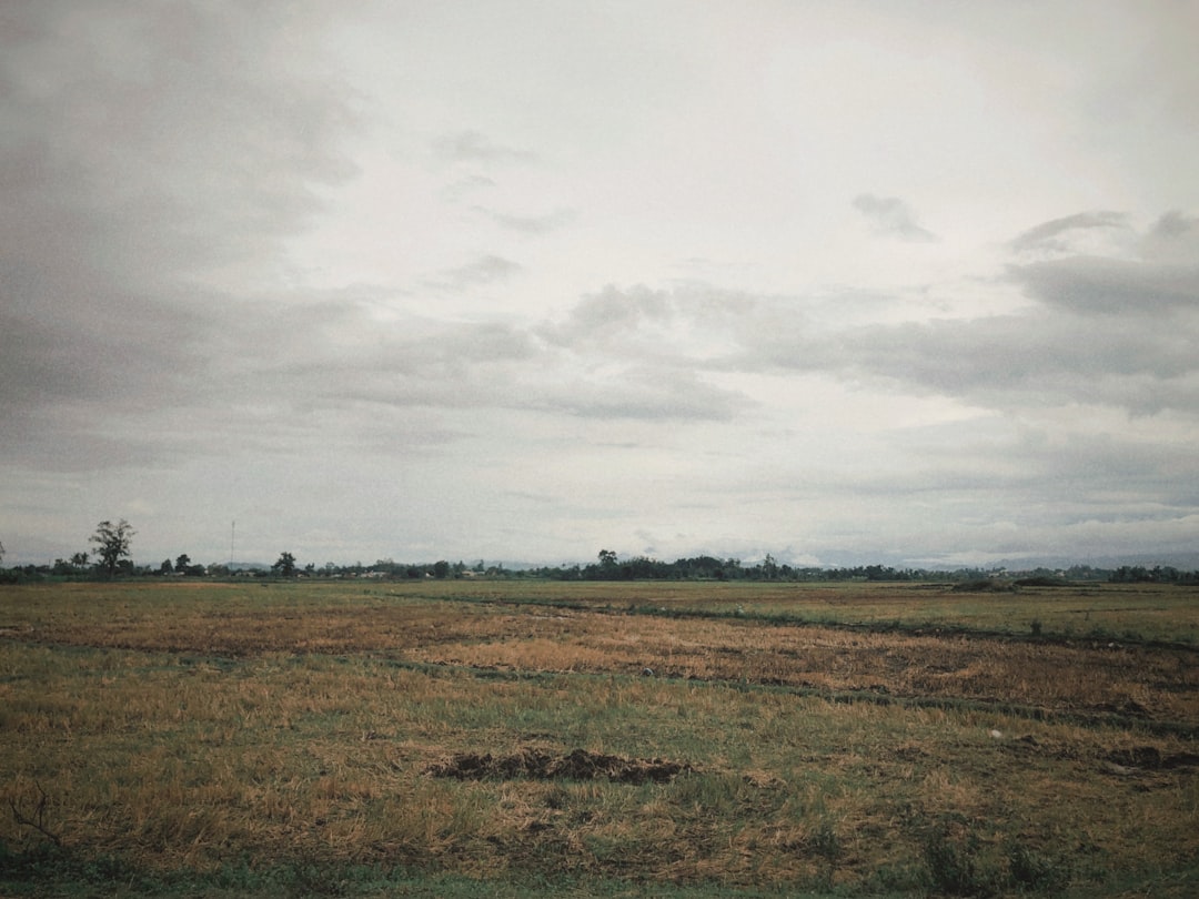 a large open field