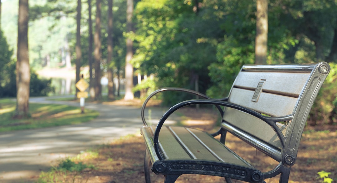 a park bench sitting in the middle of a park